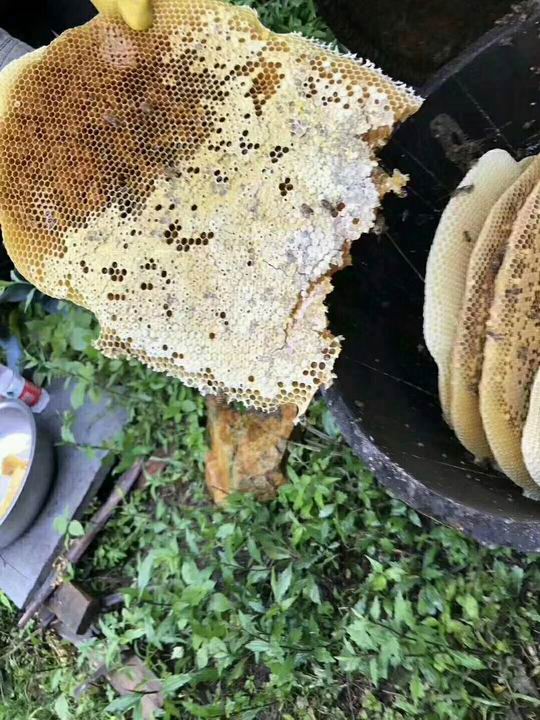 蜂蜜